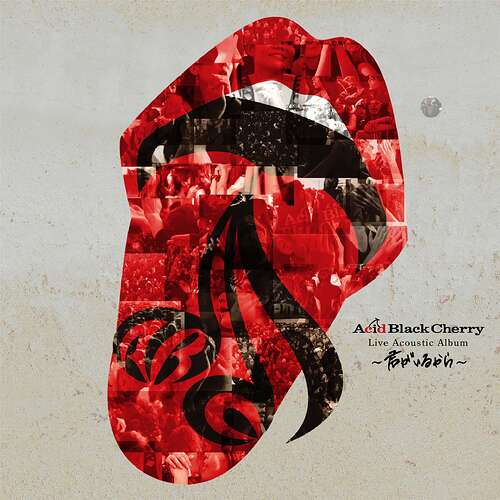 Acid Black Cherry Live Acoustic Album 〜君がいるから〜