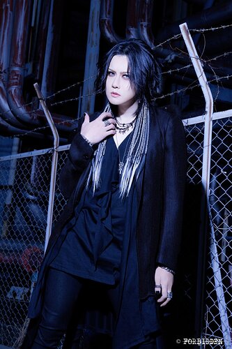 凛-Lin-