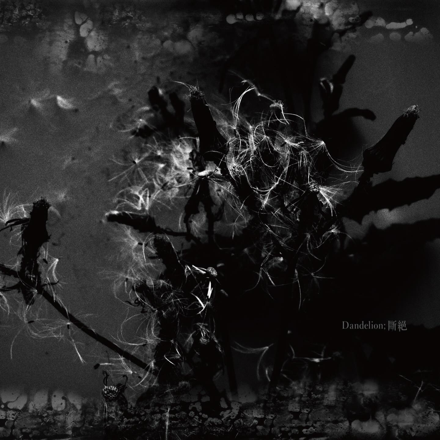 Madmans Esprit new album “Dandelion; 斷絕” release - Global Music